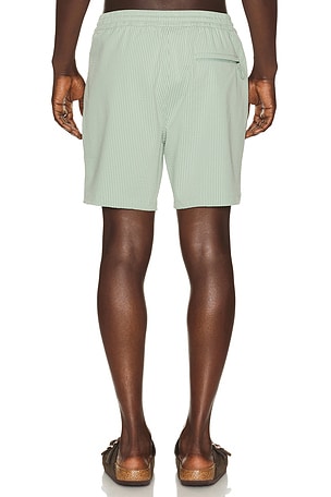 Marine Layer 6 Lined Sport & Swim Short in Green