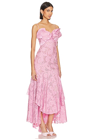 Maria Lucia Hohan Klair Gown in Pink