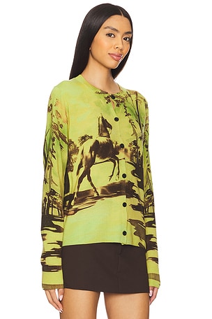 Monse Cardigan in Green