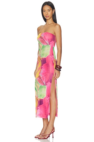 MORE TO COME Jamila Maxi Dress in Pink,Green