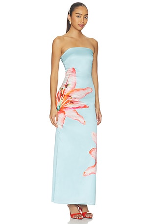 MORE TO COME Lyza Strapless Maxi Dress in Baby Blue