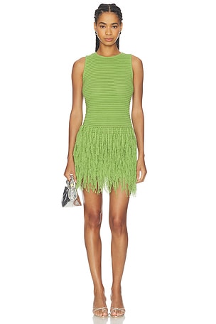 Lita Fringe Knit Mini Dress MORE TO COME