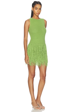 MORE TO COME Lita Fringe Knit Mini Dress in Green