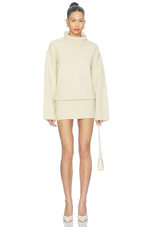Rouson Knit Turtleneck Dress MORE TO COME