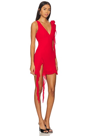 MORE TO COME Myla Mini Dress in Red