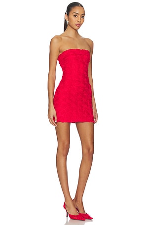 MORE TO COME Rosalia Mini Dress in Red