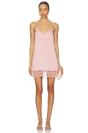 ROBE ELKIN MORE TO COME