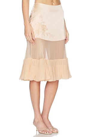 Mirror Palais Silk Chiffon Crinoline Skirt in Rose. Size XS. Also
