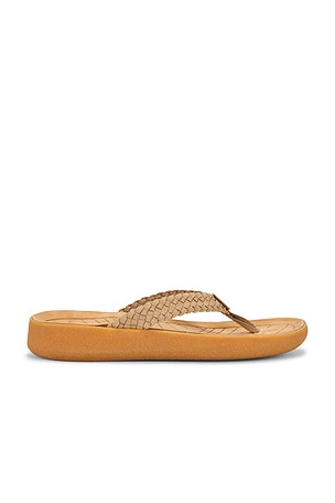 Surfrider Flip Flop Malibu Sandals