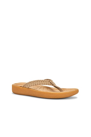 Malibu Sandals Surfrider Flip Flop in Brown