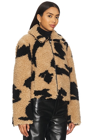 MSGM Follow The Rabbit Jacket in Brown
