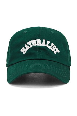 Naturalist Dad Hat Museum of Peace and Quiet