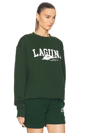 Museum of Peace and Quiet Laguna Crewneck in Dark Green