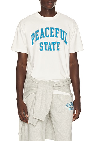 Peaceful T-shirt Museum of Peace and Quiet