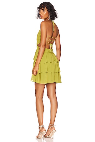 Hortensia Mini Dress Hortensia Mini Dress