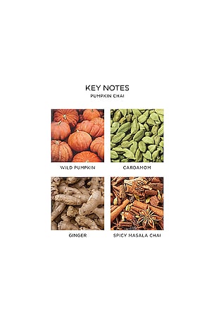 NEST New York Pumpkin Chai Reed Diffuser in Orange