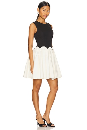 Never Fully Dressed Mini Monika Dress in Black,White