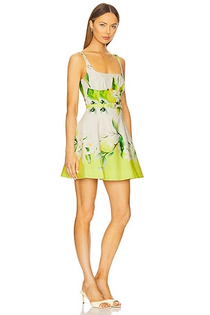 NICHOLAS Eleni Panelled Mini Dress in Ivory,Green