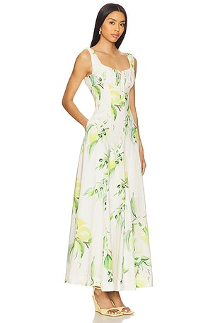 NICHOLAS Dina Maxi Dress in Neutral,Green