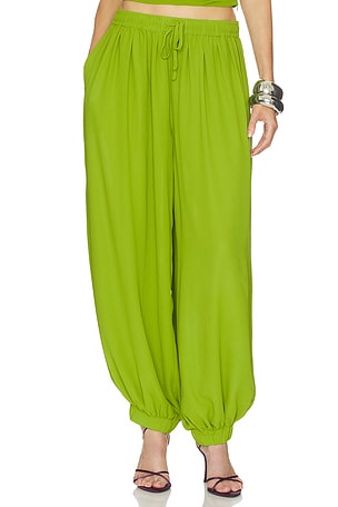 Liselle Pant NICHOLAS