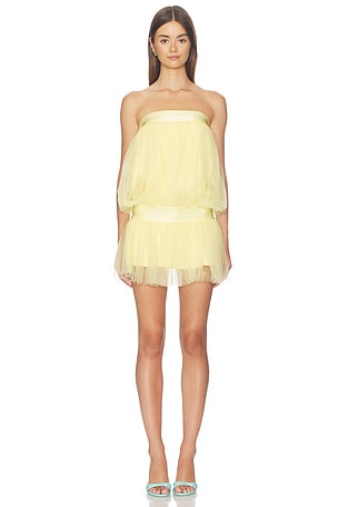 Tutu Dress NIIHAI