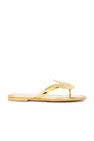 Wings Sandal NIIHAI