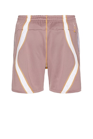Nike Drawstring Shorts in Lavender
