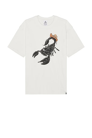Acg Scorpion Tee Nike