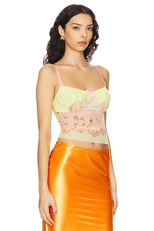 Nodress Angel Cake Printed Camisole in Yellow