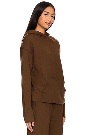 NSF Ellis Relaxed Pull Over Hoodie in Brown