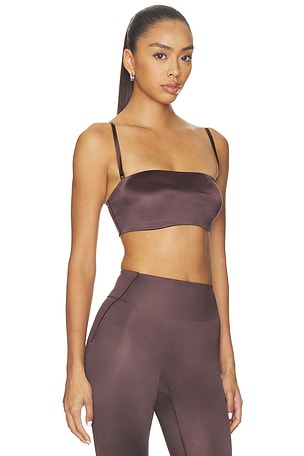 NikeSKIMS Shine Bandeau Bra in Brown