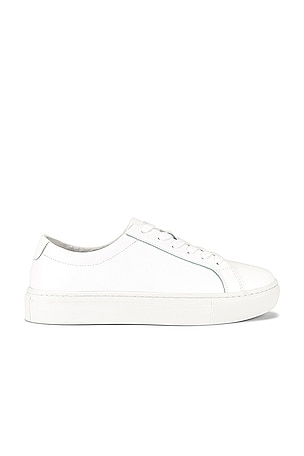 Kurt Sneaker New Republic