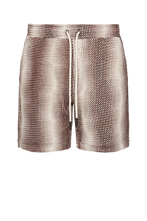 Merlot Echo Net Shorts OAS