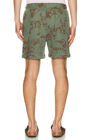 OAS Porto Shorts in Green