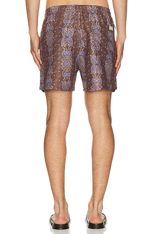 OAS SHORT DE BAen ITACA en Marron