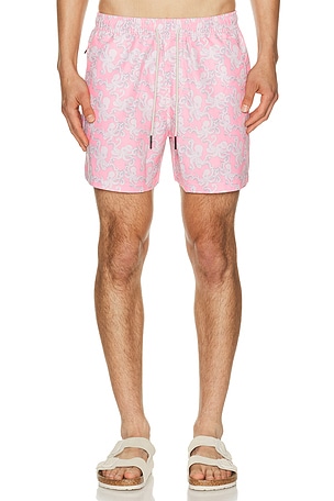 Pink Octo Swim Shorts OAS