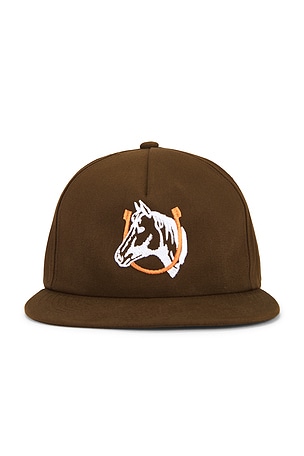 Horse Shoe Logo Hat ONE OF THESE DAYS
