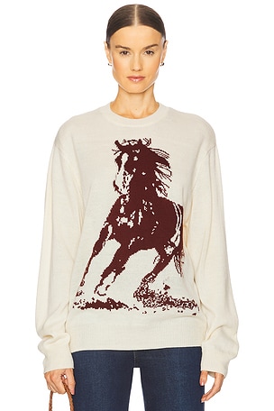 Running Horse Knit Sweater ONE OF THESE DAYS