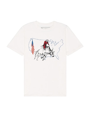 Bullrider Usa Tee ONE OF THESE DAYS