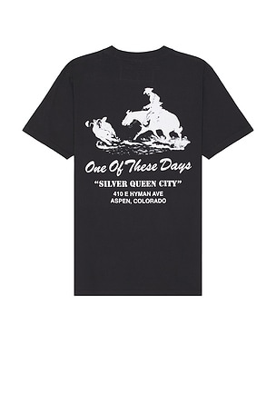 CAMISETA SILVER QUEEN ONE OF THESE DAYS