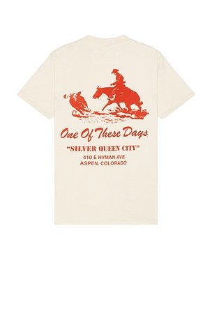 SILVER QUEEN Tシャツ ONE OF THESE DAYS