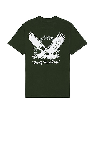 Screaming Eagle T-Shirt ONE OF THESE DAYS