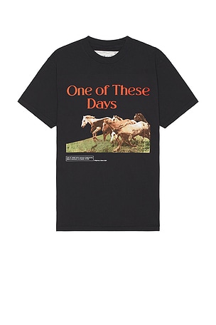 Wild Horses T-Shirt ONE OF THESE DAYS