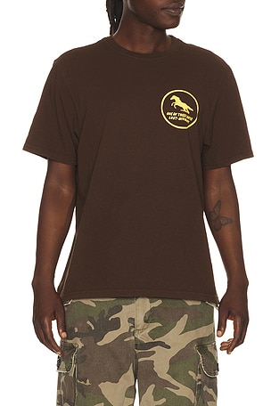 Painted Horse Tshirt ONE OF THESE DAYS