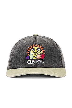 Pigment Fruits 6 Panel Snapback Obey
