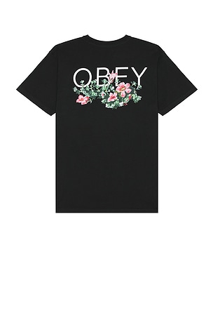 Obey