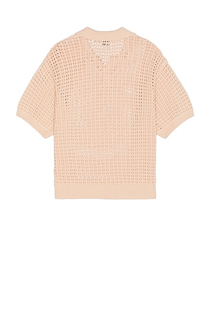Obey Kody Polo in Blush