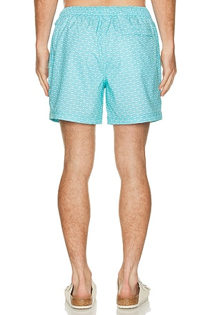 Original Penguin 5 Box Rec Swim Shorts in Baby Blue