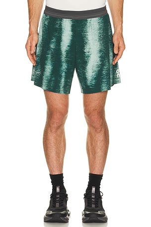 Performance Shorts Terra On
