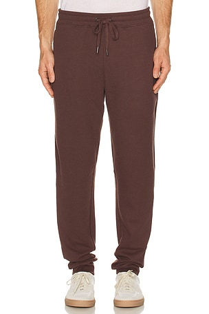 Waffle Jogger onia